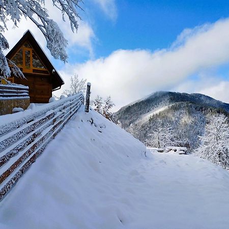 Drvene Kuce Suska - Wooden Houses Suska Zaovine Exterior foto